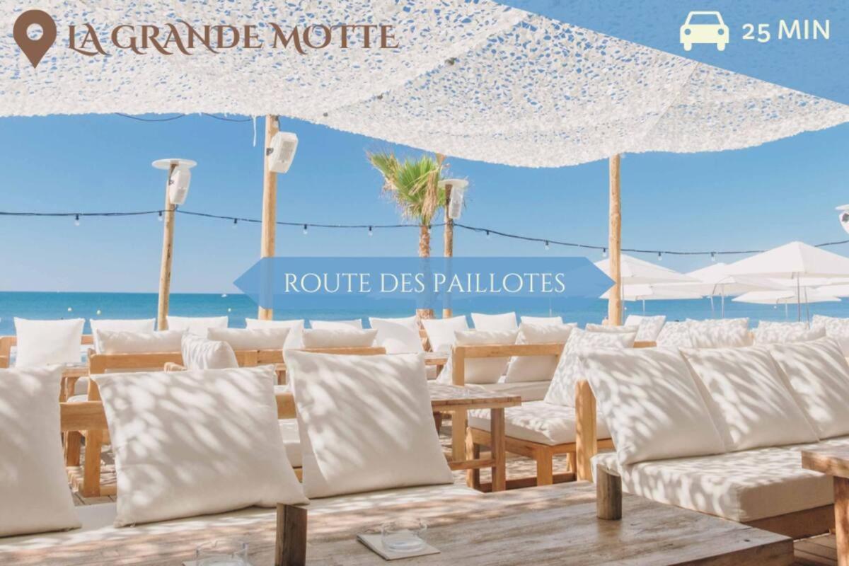 063 - Studio Didion, Centre Gare St Roch, Clim, Balcon,4Pers Montpellier Zewnętrze zdjęcie